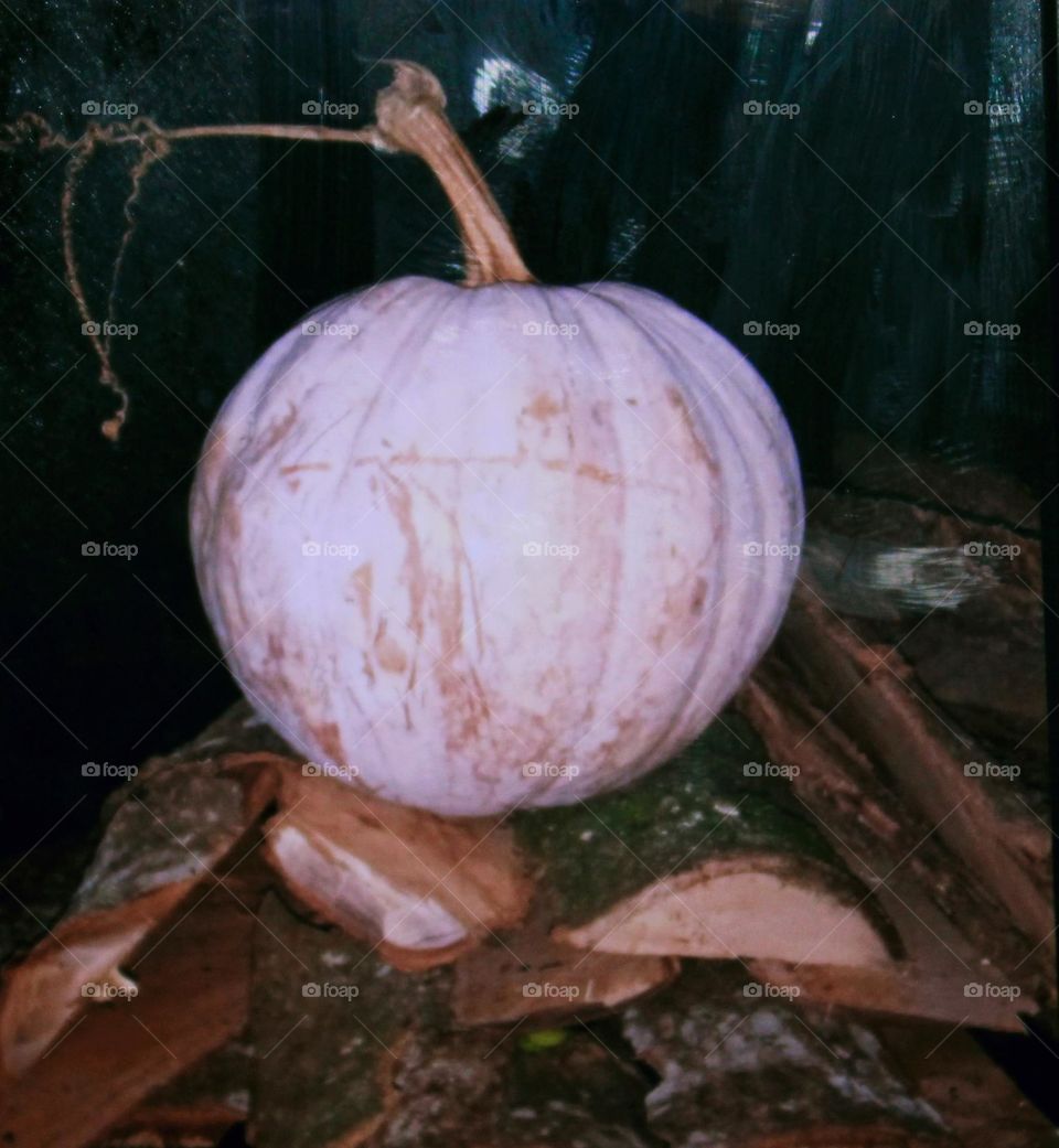This fruit can be used for vegetables and foam as well as for making sponge cakes with a distinctive taste, not so sweet, this fruit has a hard skin, this is a pumpkin.