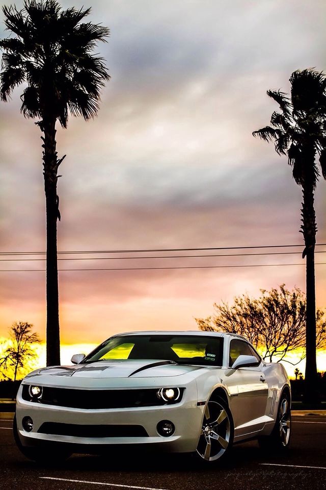 Camaro art