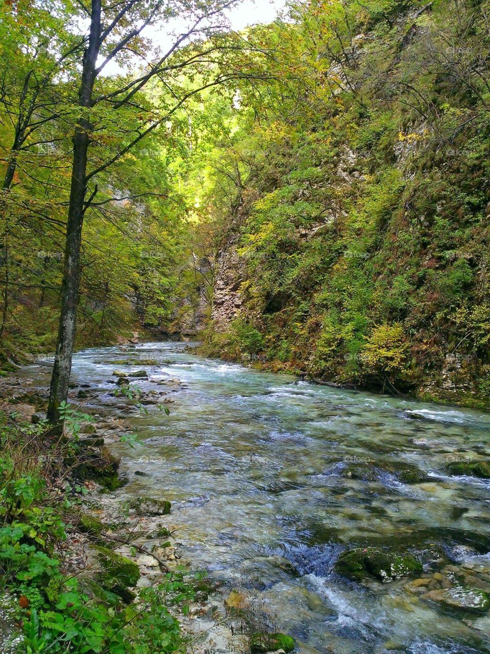Slovenia gorge