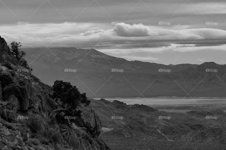 Black and white landscape 