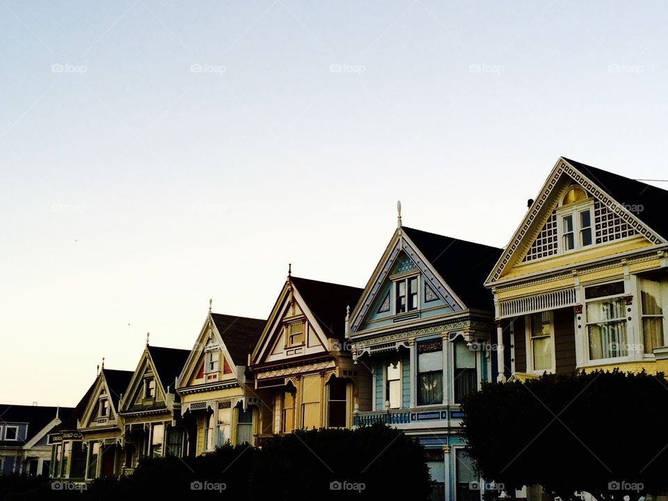 San Francisco Painted Ladies