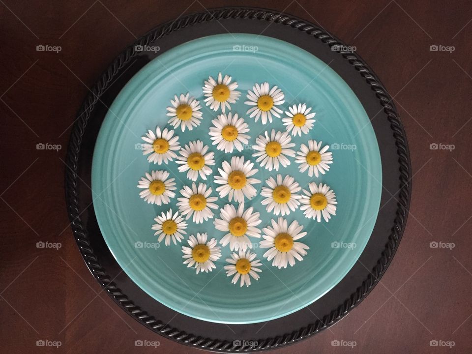 Daisies