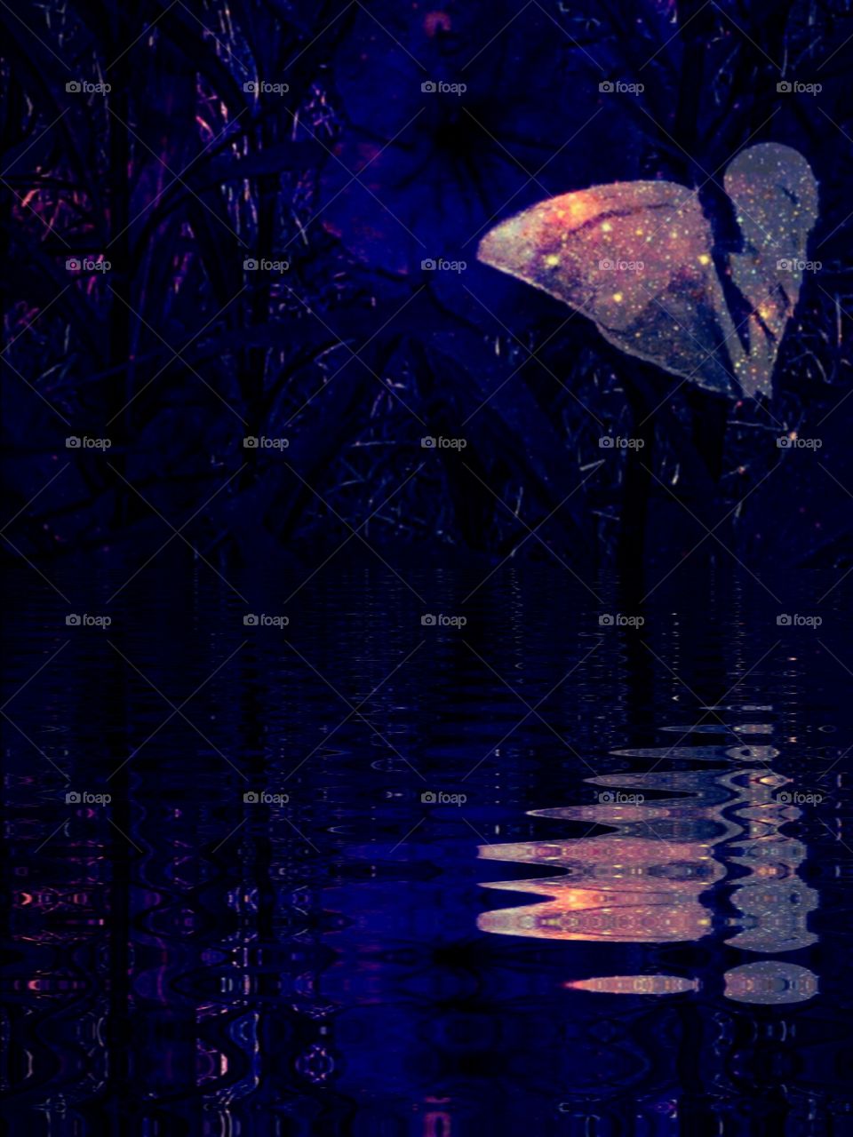 glowing butterfly reflecting in water