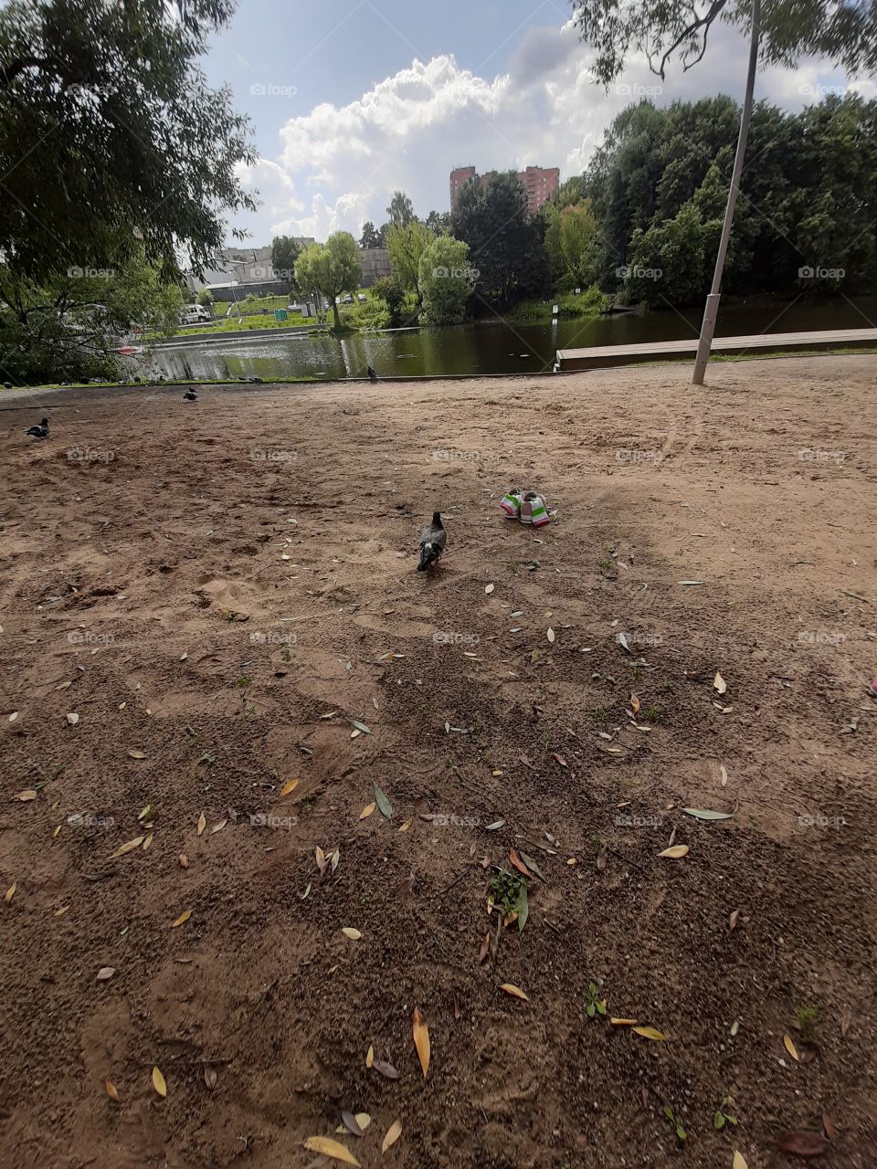 В  парке,  возле   речки