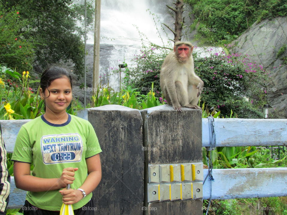 Teenage girl standing near monkey sitting on wooden post