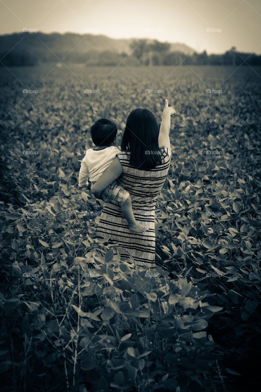 Young Boy And Mother In A Corn Field, Young Mother Holding Baby In A Field, Mother Shows Boy The World, Mother And Baby Looking Together