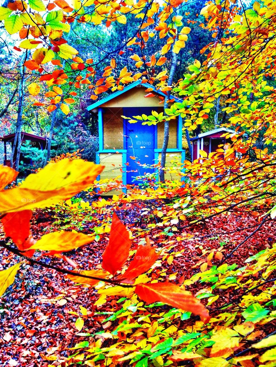 Autumn Beach Hut