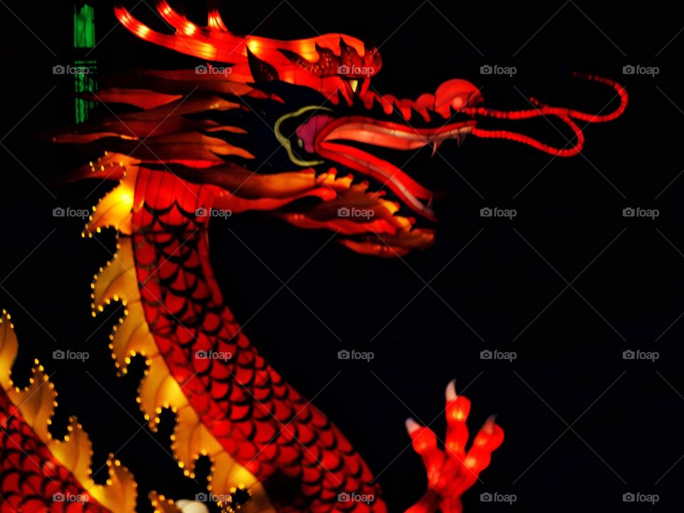 Brilliant Chinese Dragon
