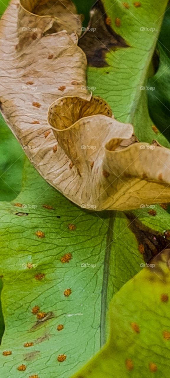 One image two seasons 🧤🌺