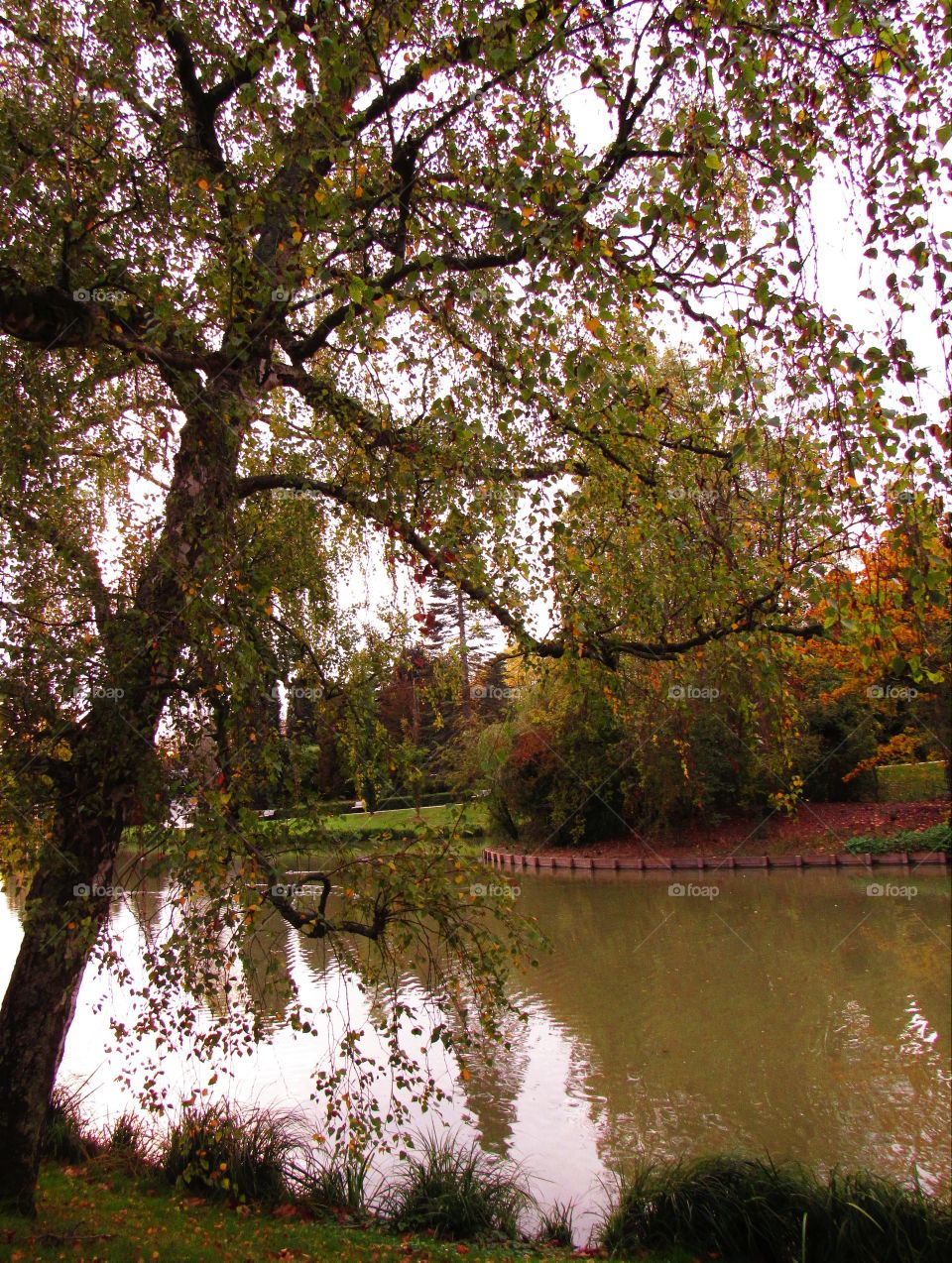 In the park