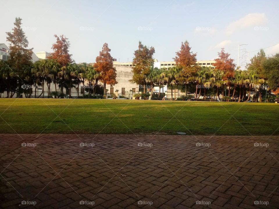 A small park grass park in New Orleans Louisiana with tree line and bricks 