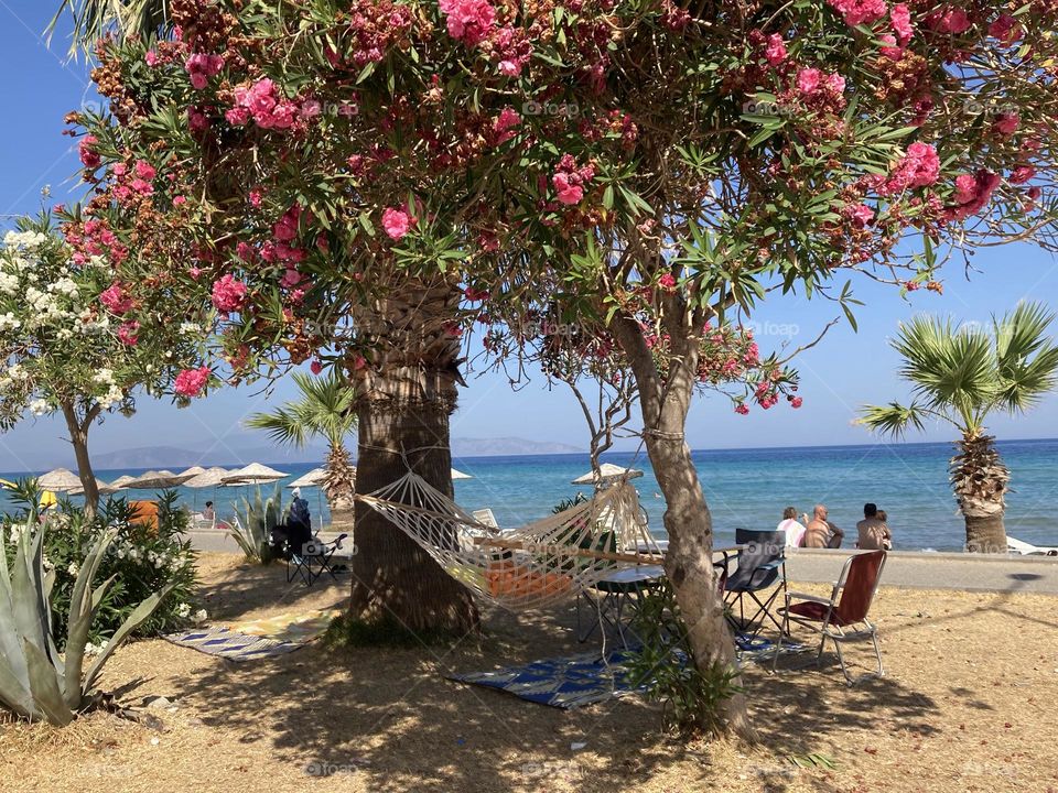 Sunny holidays I’m Turkey. Walk in the cute city and charming streets by the beach in Kusadasi. perfect blue sky and ocean view. Beach and the shore. To travel is to live. Gorgeous tall palm trees.