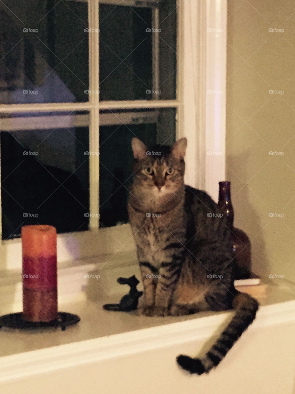 Car on the window sill .