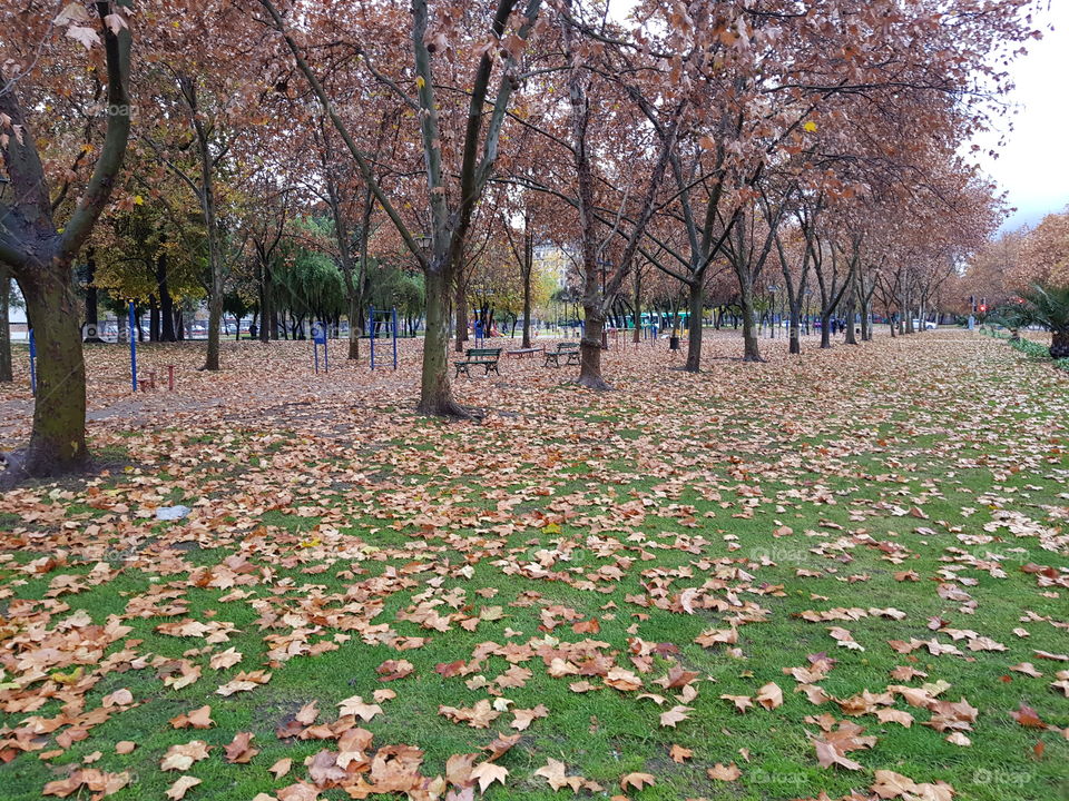 Parque Almagro luego de la lluvia