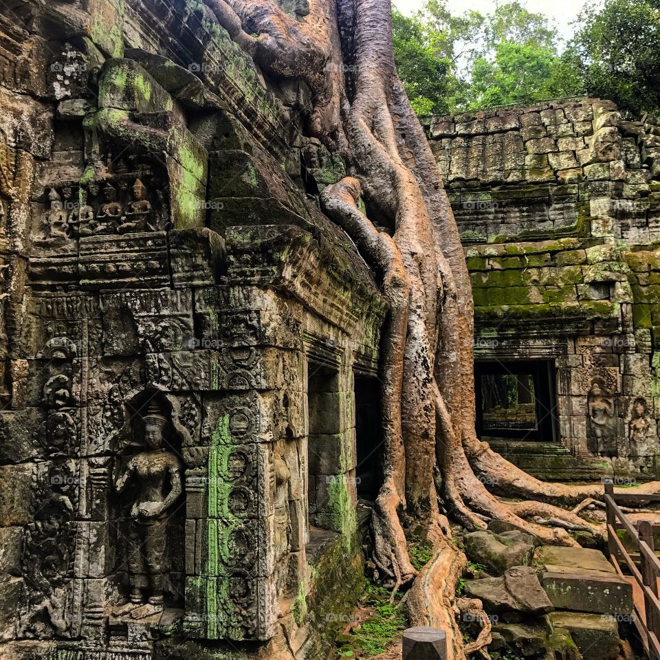 #angkorwat #cambodia #ancient #ruins #love #amazing #incredible #amazing