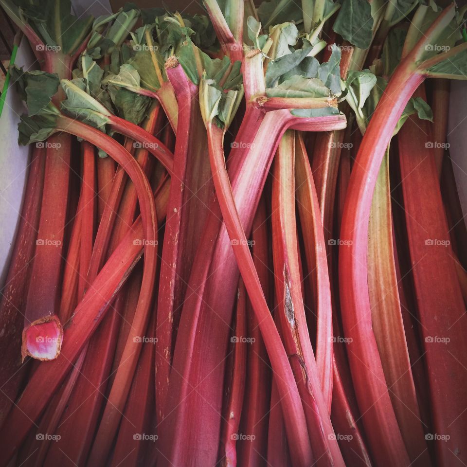 rhubarb