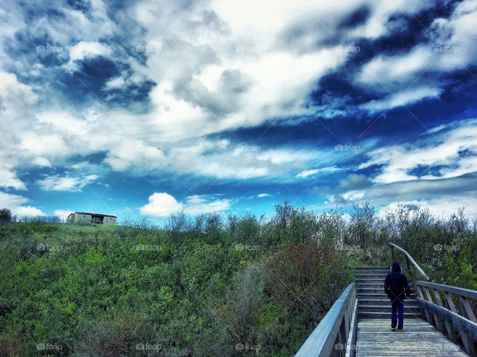 Landscape, Sky, Tree, Nature, Travel