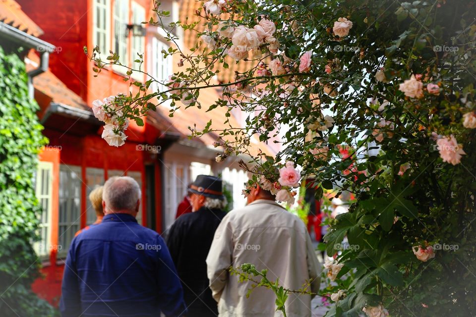 Men walking in a garden