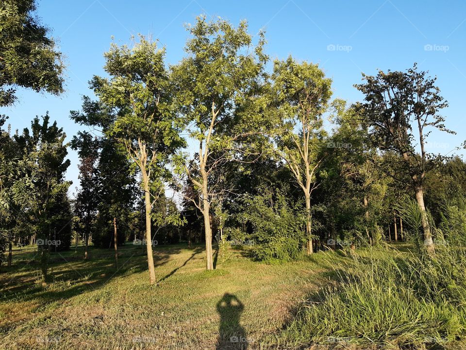 a shadow at the country while taking a photo