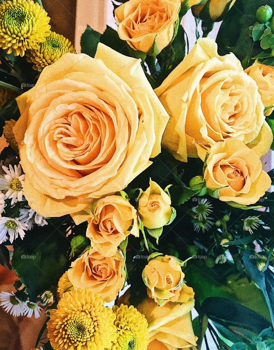 Beautiful yellow roses and flowers 