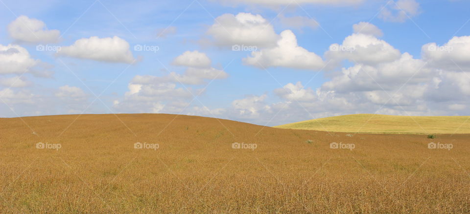 Countryside landscape, Sweden