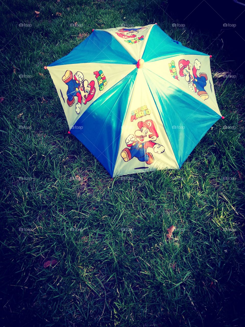 Spring, umbrella,