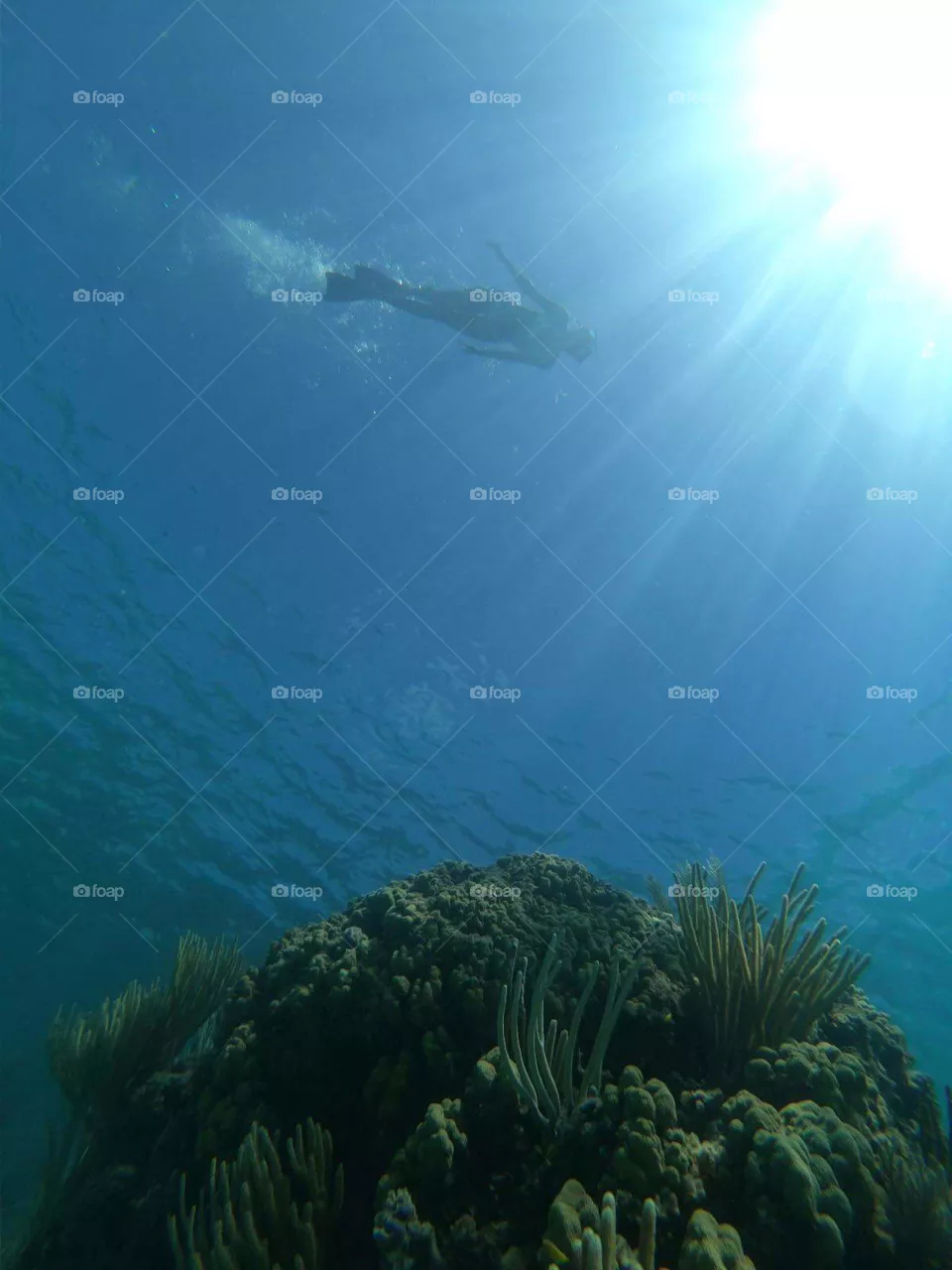 Underwater portrait