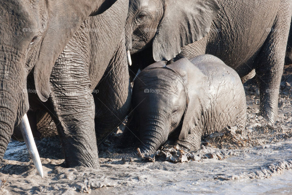 baby water park mother by mike007