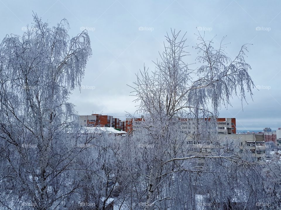 View from the window