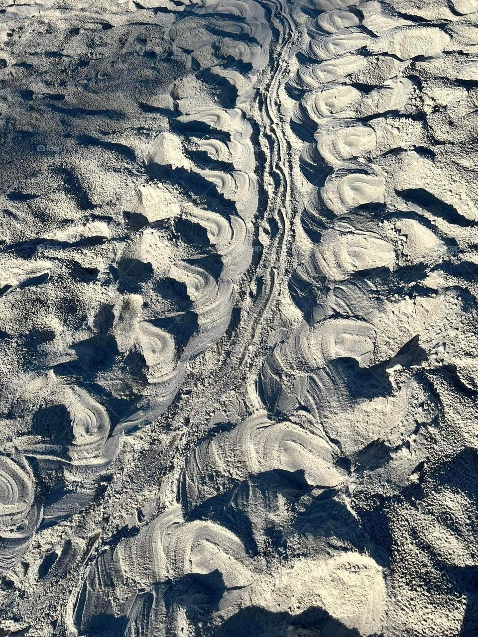 turtle tracks on the beach