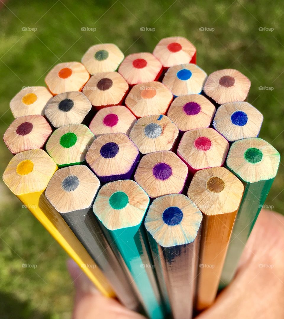 Bunch of multicolor pencils