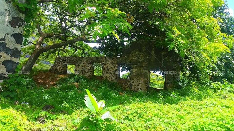 sugar mill ruins