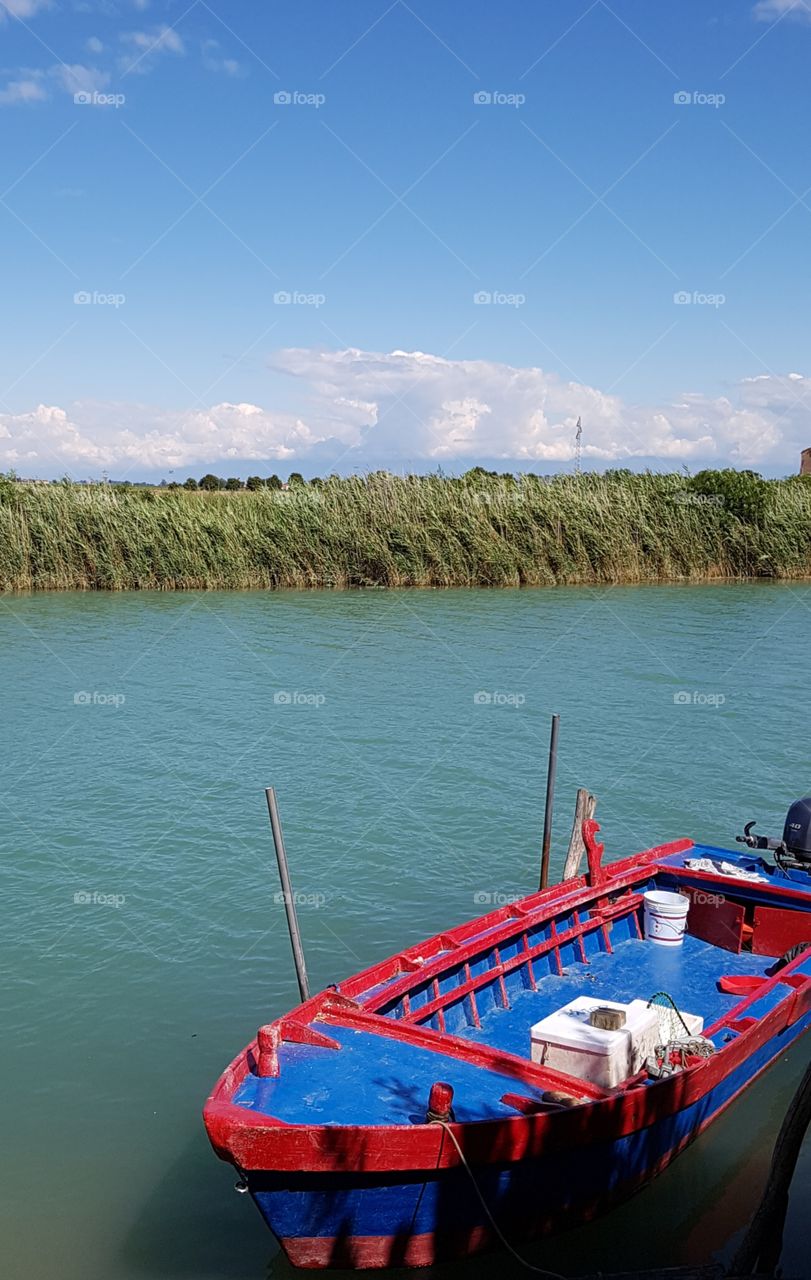 Row row row your boat