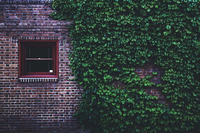 beautiful window view