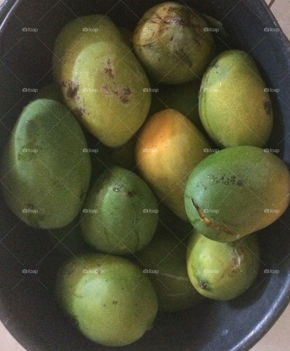 País tropical frutas manga (mango fruit)