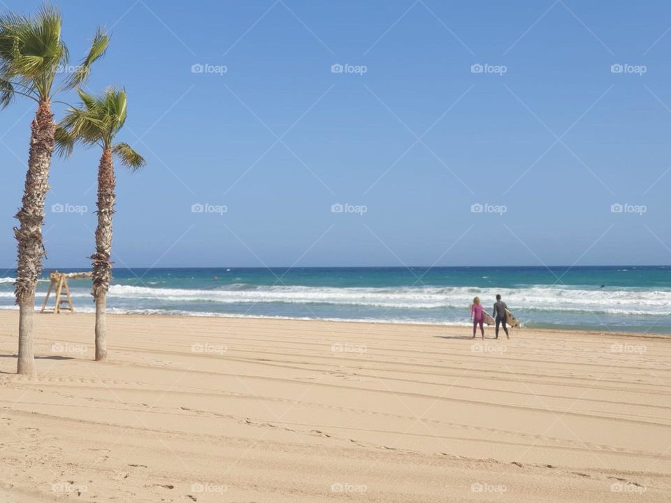 Beach#sea#palms#humans#surf