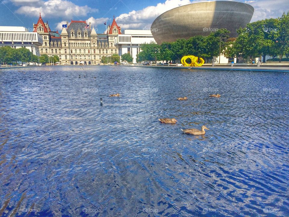 Empire State plaza