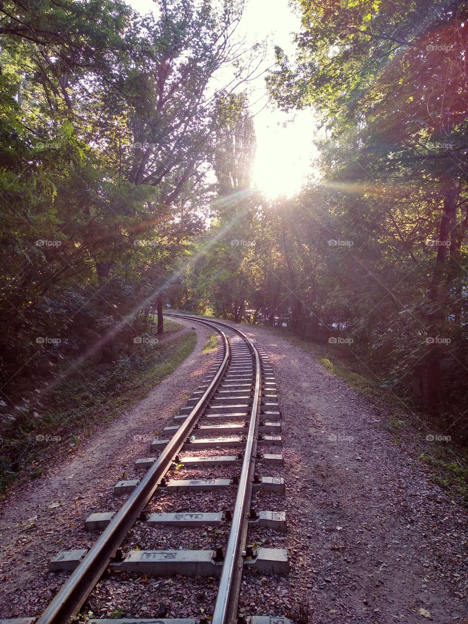 Rails. Railway for children in the park