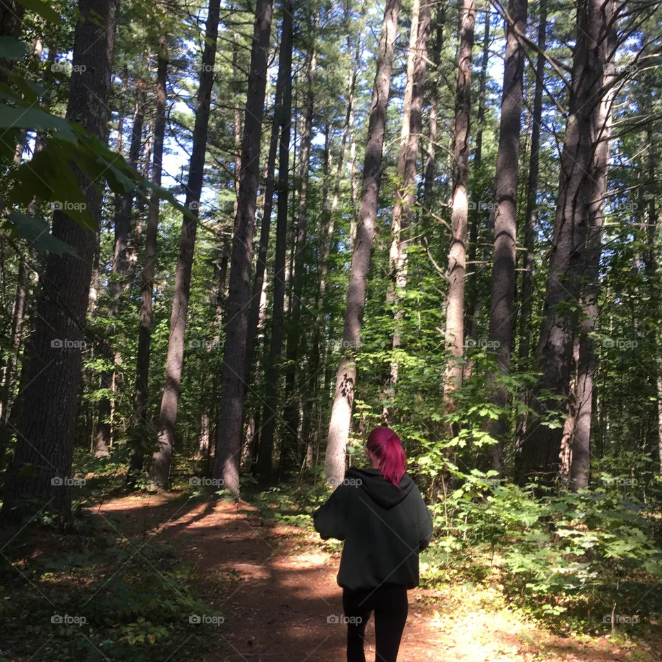 Trees