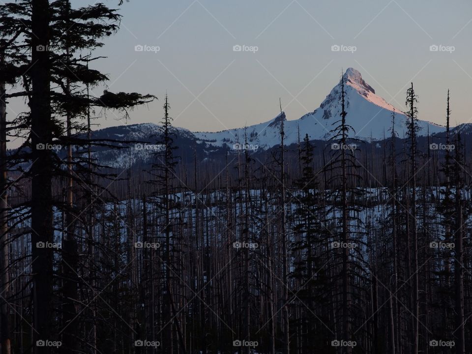 The beautiful red glow of sunrise on the snow covered Mt. Washington in Oregon’s Cascade Mountain Range on a spring morning. 