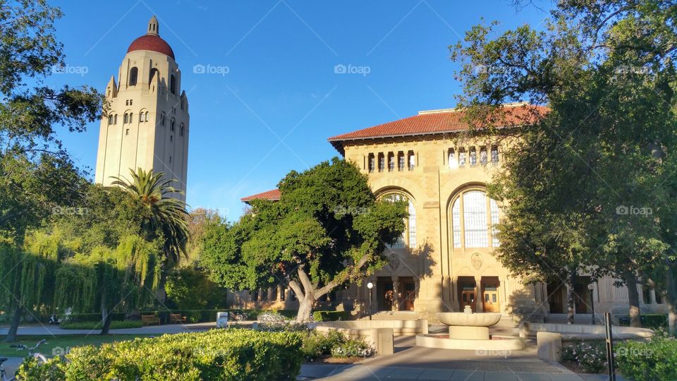 Hoover Tower. Hoover Tower at Stanford University
