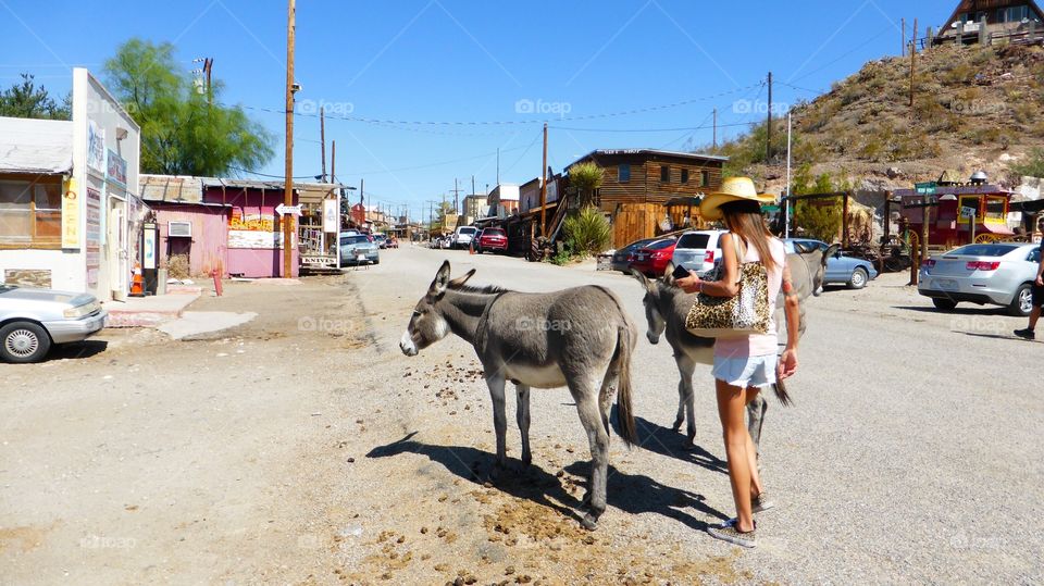 Woman and burros at Oatman. Woman and burros at Oatman