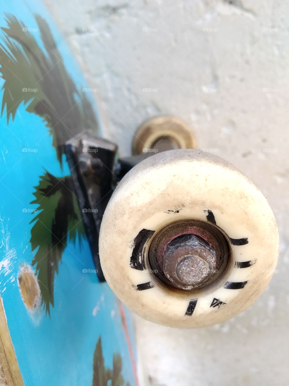 White skateboard roller and blue shape with drawings of a coconut tree