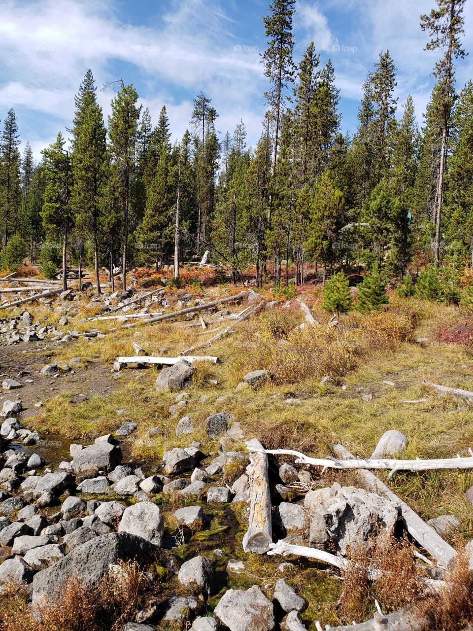 Brilliant fall colors of a landscape on the shores of Elk Lake in Oregon’s Cascade Mountains