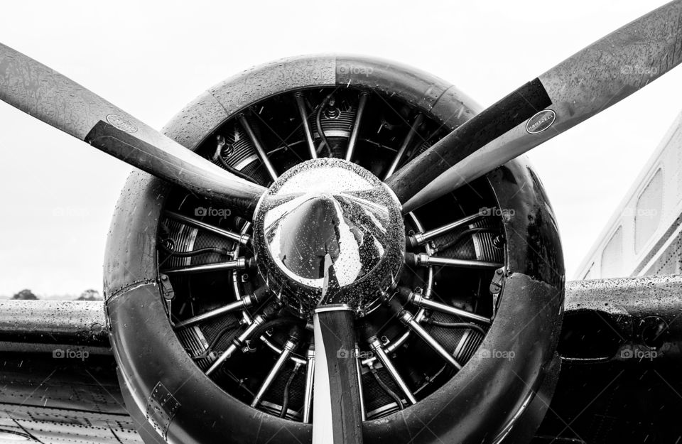 Propellor, Wing and side of aircraft in bnw