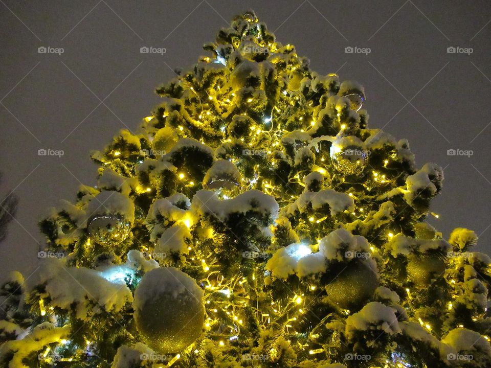 elegant Christmas tree in the park in winter