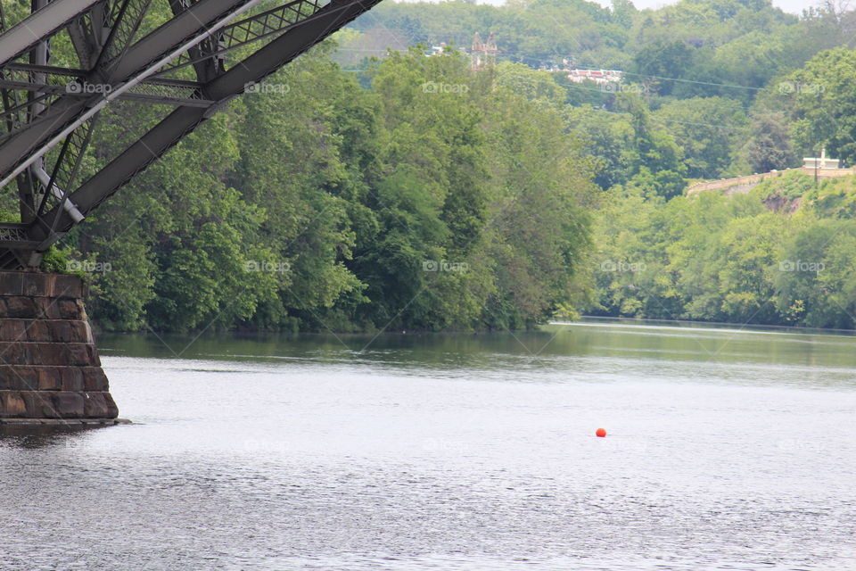 Scenic views of the Schuylkill River in Philadelphia