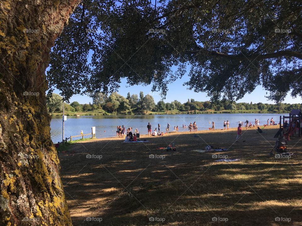 Water, Landscape, Tree, Recreation, Travel