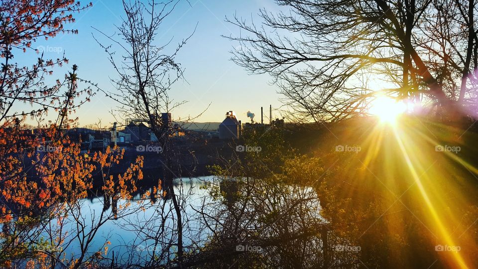 Sunlight streaming through trees