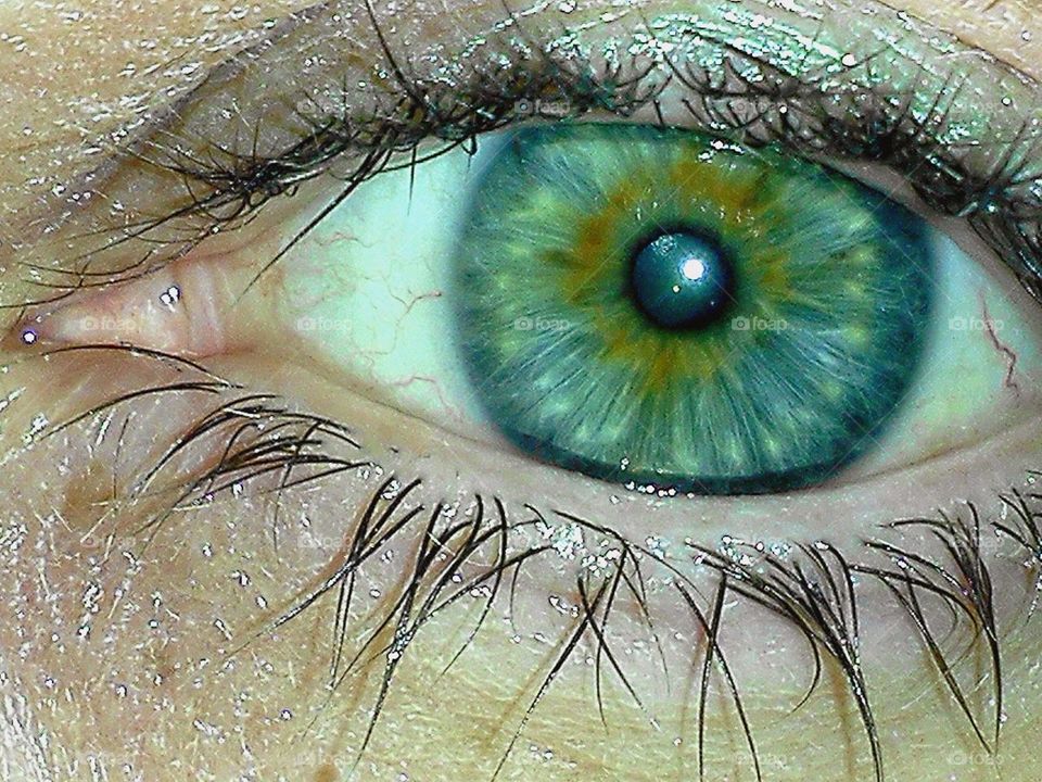 my eye. I love the colors & designs in peoples eyes so I decided to attempt to photograph my on eye & this is what I got